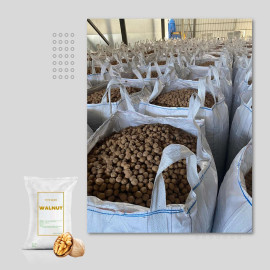 CHILEAN WALNUT – WHOLESALE NATURAL, HIGH-QUALITY SERR & CHANDLER WALNUT VARIETIES